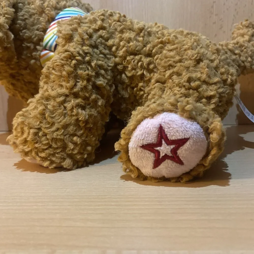 American Girl “Daffodil” the Doodle Puppy Dog Plush Accessory 2022 HJB28